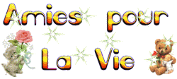 CA C EST POUR MA MEILLEURE AMIE MEGANE TOUSSAINT