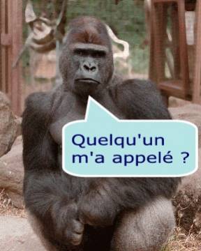 MDRR
