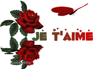 pour ma maman