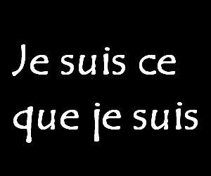 je remerci tout mes amies de vip