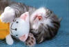 trop chou