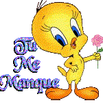pour la toussaint
